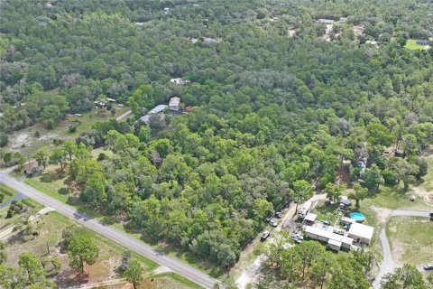 Terrain à vendre à Homosassa, Floride № 2197206 - photo 2