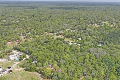 Terrain à vendre à Homosassa, Floride № 2197206 - photo 6