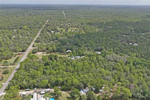 Terrain à vendre à Homosassa, Floride № 2197206 - photo 4
