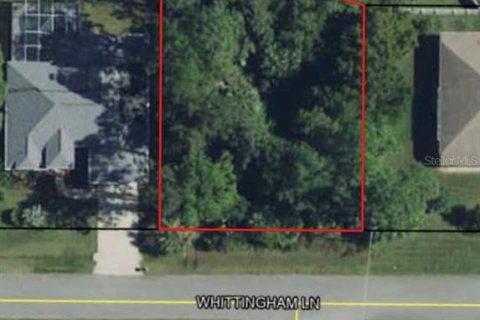 Land in Palm Coast, Florida № 1722034 - photo 4