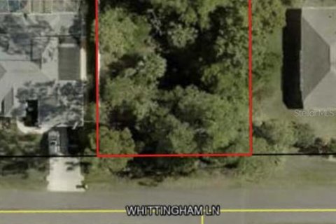 Land in Palm Coast, Florida № 1722034 - photo 1