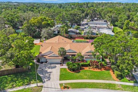 House in Lutz, Florida 4 bedrooms, 286.79 sq.m. № 1803279 - photo 2