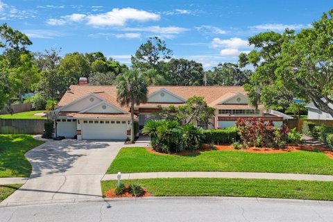 House in Lutz, Florida 4 bedrooms, 286.79 sq.m. № 1803279 - photo 1