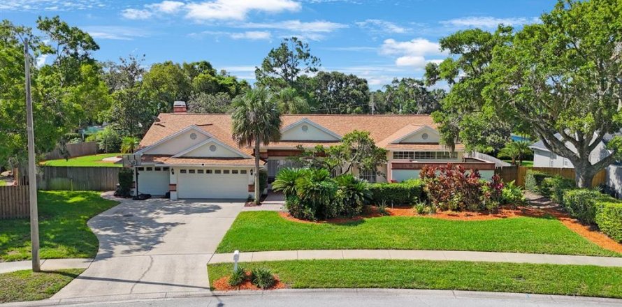 House in Lutz, Florida 4 bedrooms, 286.79 sq.m. № 1803279