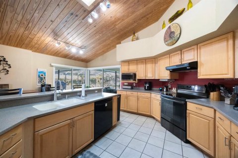 House in Lutz, Florida 4 bedrooms, 286.79 sq.m. № 1803279 - photo 22