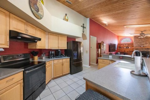 House in Lutz, Florida 4 bedrooms, 286.79 sq.m. № 1803279 - photo 21