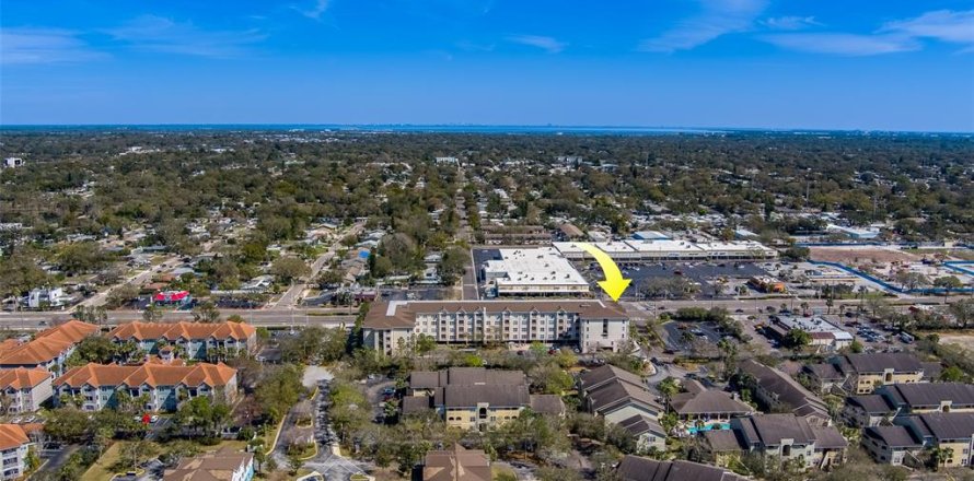 Condo in Clearwater, Florida, 1 bedroom  № 1733825