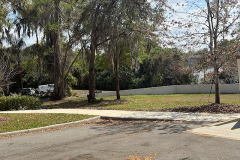 Terrain à vendre à Altamonte Springs, Floride № 2167147 - photo 3