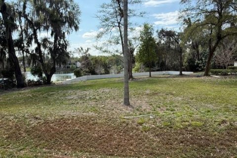 Terrain à vendre à Altamonte Springs, Floride № 2167147 - photo 11