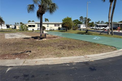 Land in Apollo Beach, Florida № 1716966 - photo 1