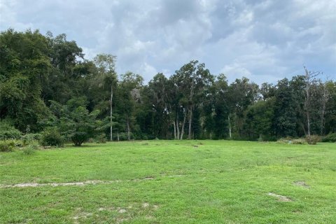 Terreno en venta en Brooksville, Florida № 1773474 - foto 6