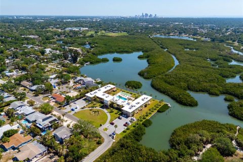Condo in Gulfport, Florida, 1 bedroom  № 2212932 - photo 29