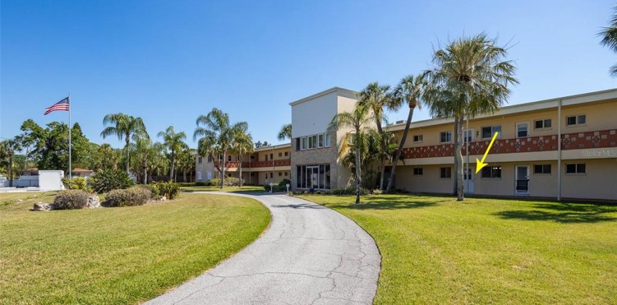 Condo in Gulfport, Florida, 1 bedroom  № 2212932
