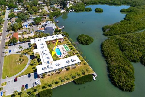 Condo in Gulfport, Florida, 1 bedroom  № 2212932 - photo 28