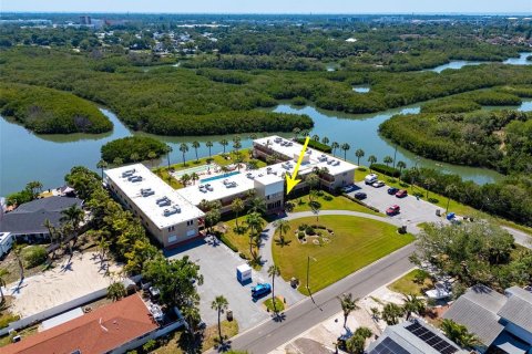 Condo in Gulfport, Florida, 1 bedroom  № 2212932 - photo 27