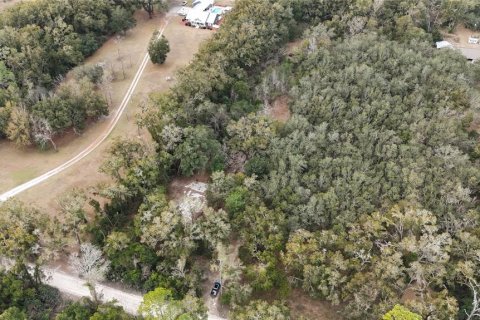 Land in Trenton, Florida № 2109092 - photo 3