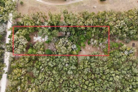 Land in Trenton, Florida № 2109092 - photo 4