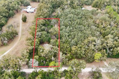 Land in Trenton, Florida № 2109092 - photo 2