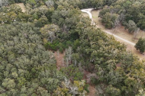 Land in Trenton, Florida № 2109092 - photo 5