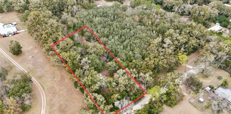 Land in Trenton, Florida № 2109092