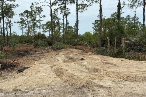 Terreno en venta en Punta Gorda, Florida № 1651537 - foto 2