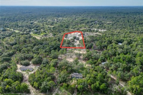 Land in Bronson, Florida № 1346782 - photo 6