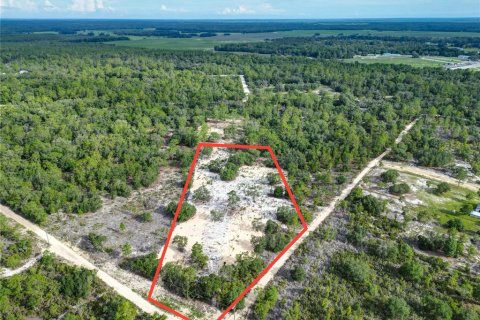 Land in Bronson, Florida № 1346782 - photo 2