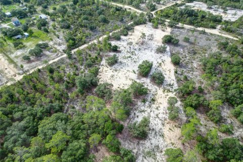 Land in Bronson, Florida № 1346782 - photo 4