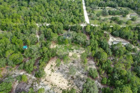 Land in Bronson, Florida № 1346782 - photo 3