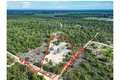 Land in Bronson, Florida № 1346782 - photo 1