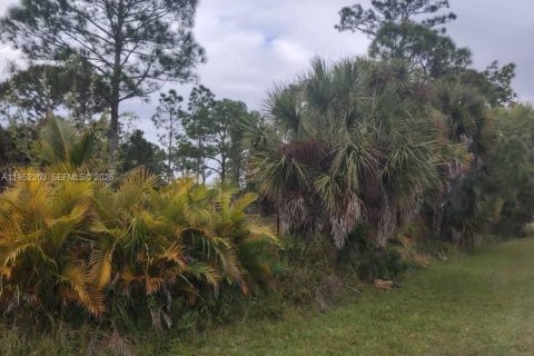 Terreno en venta en Clewiston, Florida № 2054368 - foto 9