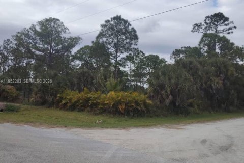 Terreno en venta en Clewiston, Florida № 2054368 - foto 3