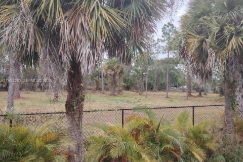 Terreno en Clewiston, Florida № 2054368