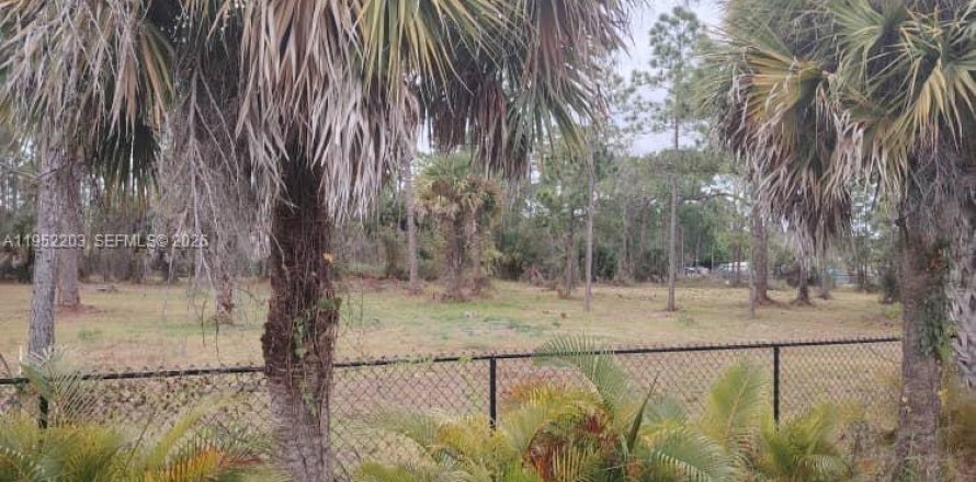 Terreno en Clewiston, Florida № 2054368
