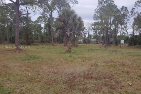Terreno en venta en Clewiston, Florida № 2054368 - foto 6