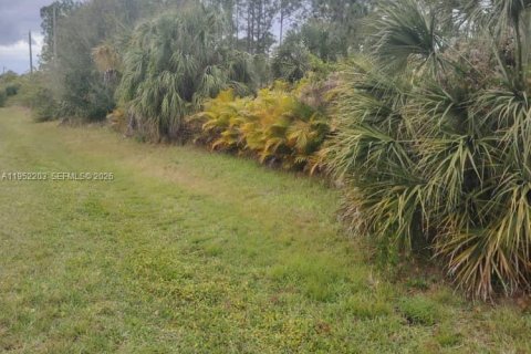 Terreno en venta en Clewiston, Florida № 2054368 - foto 4