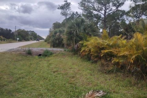Terreno en venta en Clewiston, Florida № 2054368 - foto 8