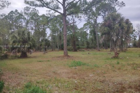 Terreno en venta en Clewiston, Florida № 2054368 - foto 5