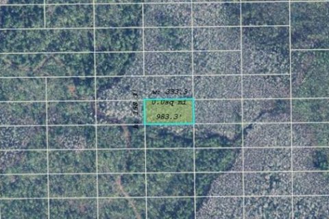 Land in Orlando, Florida № 2118548