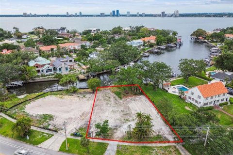 Land in Tampa, Florida № 1759724 - photo 2