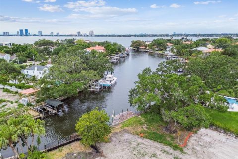 Land in Tampa, Florida № 1759724 - photo 5