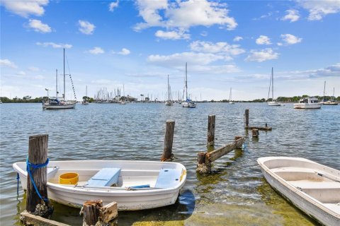 Land in Tampa, Florida № 1759724 - photo 10