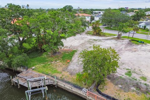 Land in Tampa, Florida № 1759724 - photo 6
