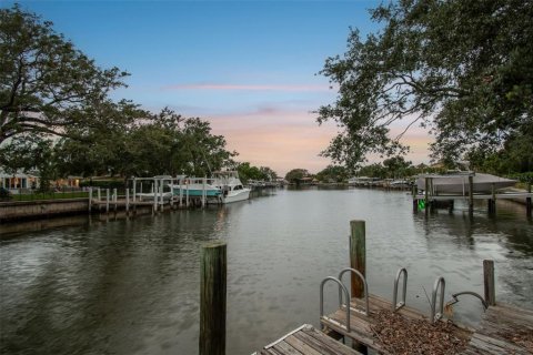 Land in Tampa, Florida № 1759724 - photo 1