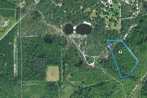 Land in Fort MC Coy, Florida № 2234368