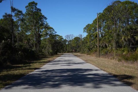Land in Port Charlotte, Florida № 2163063 - photo 3
