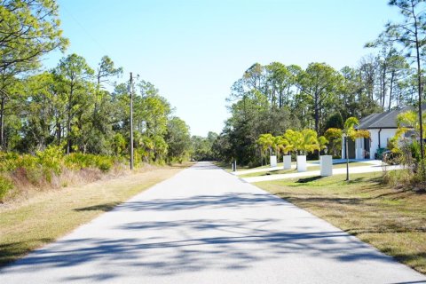Land in Port Charlotte, Florida № 2163063 - photo 2