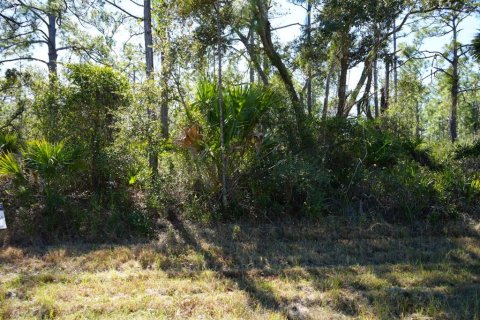 Land in Port Charlotte, Florida № 2163063