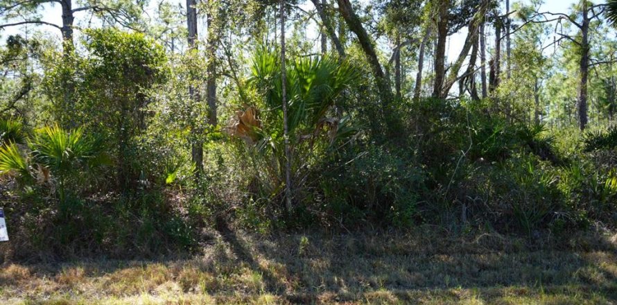 Land in Port Charlotte, Florida № 2163063