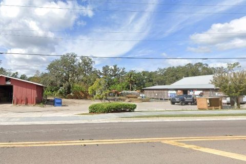 Land in Polk City, Florida № 2164054 - photo 2